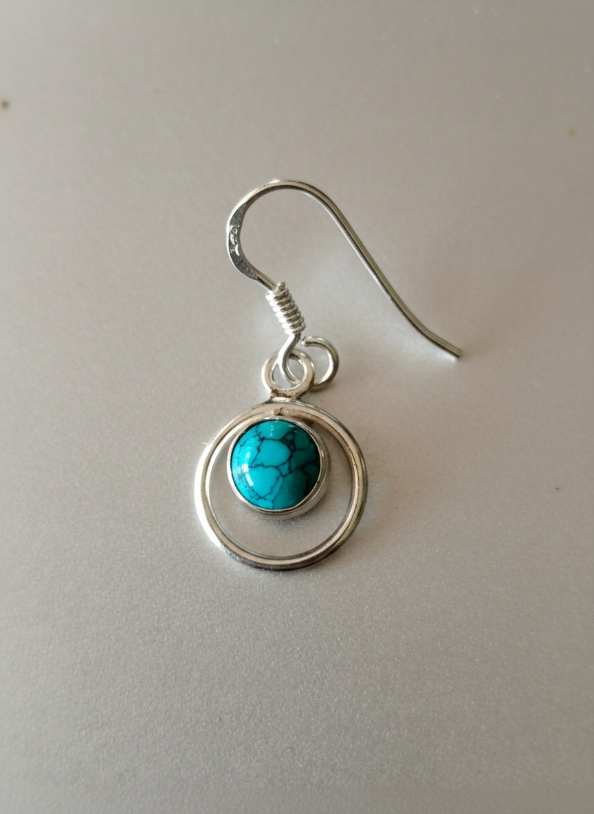 Silver Circle Earring
