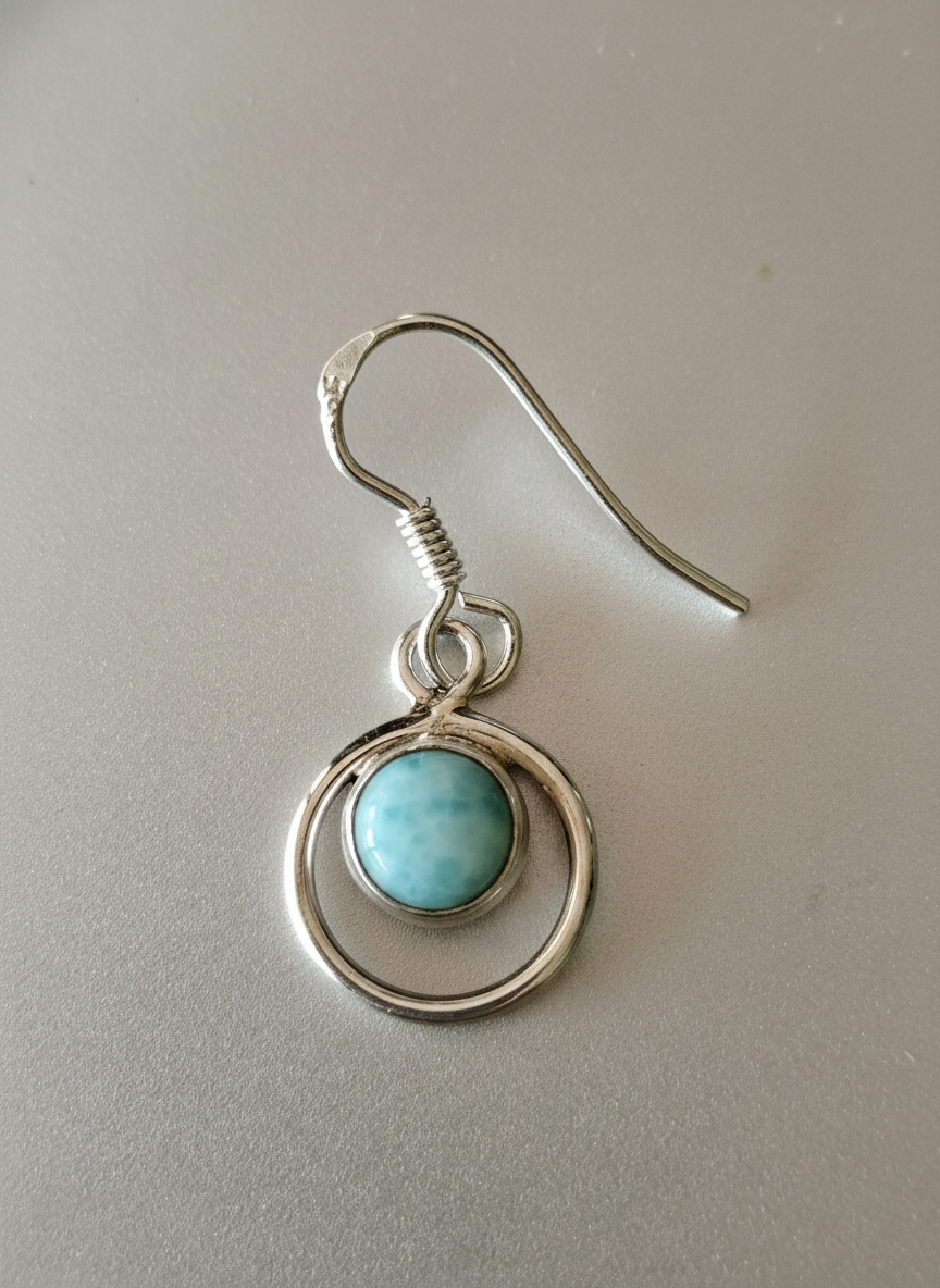 Silver Circle Earring